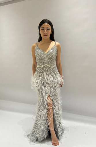 _Beaded V Neck Feather Dress in Grey